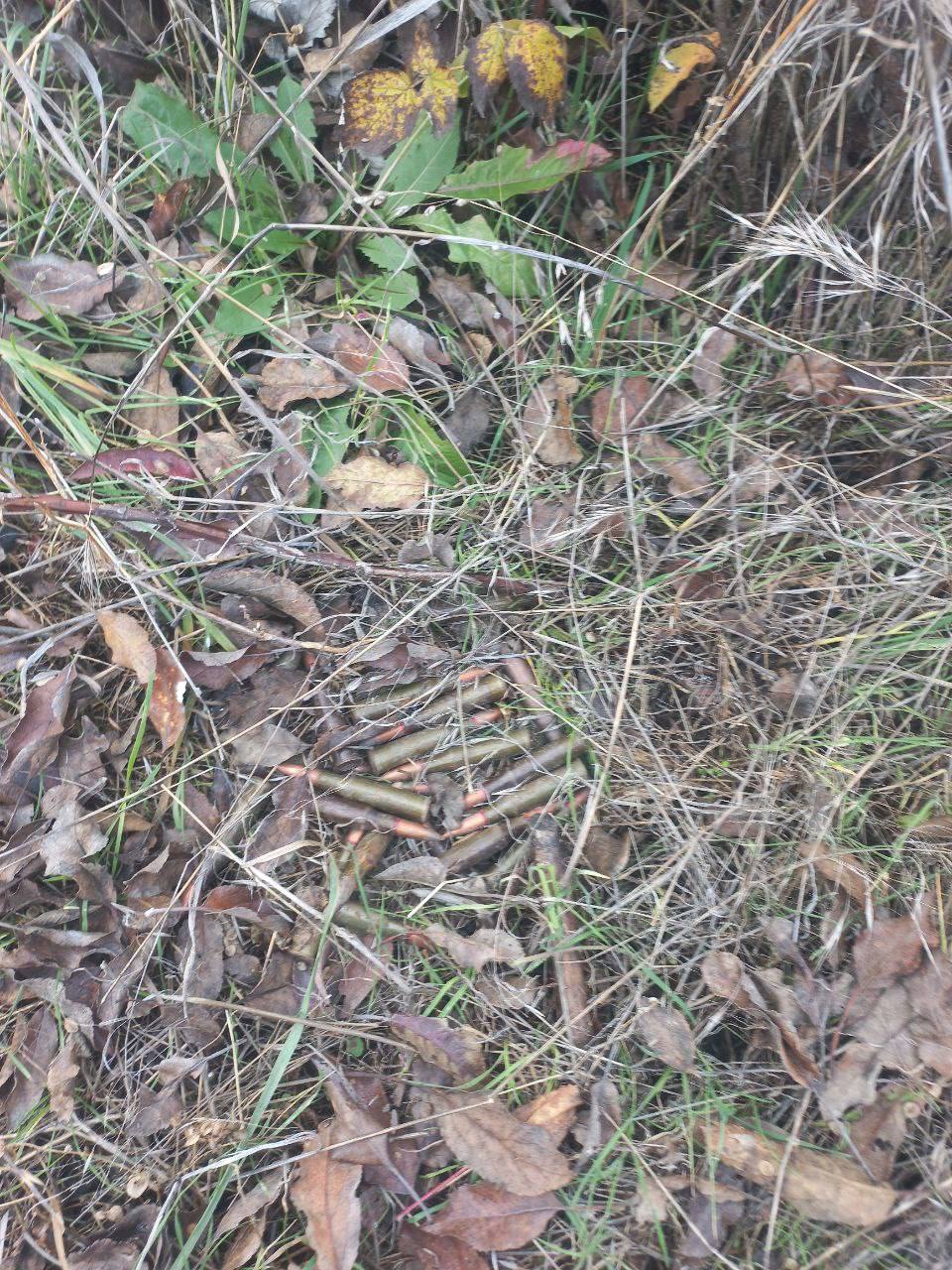 Полицейские в Запорожской области обнаружили боеприпасы