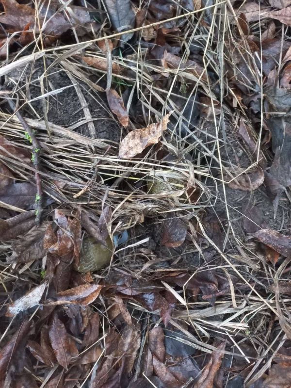 ���������� ������� ����������� ������� ������� �����