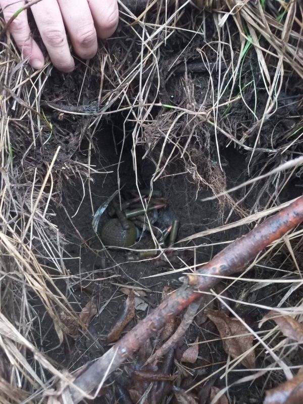 ���������� ������� ����������� ������� ������� �����