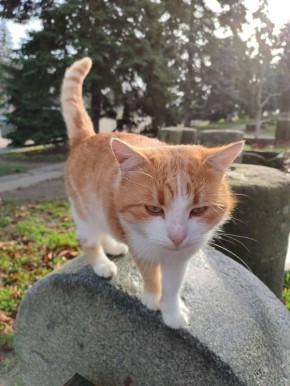 Желаем всем по-настоящему доброго утра!