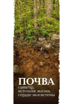 Всемирный день почв – праздник плодородной земли!