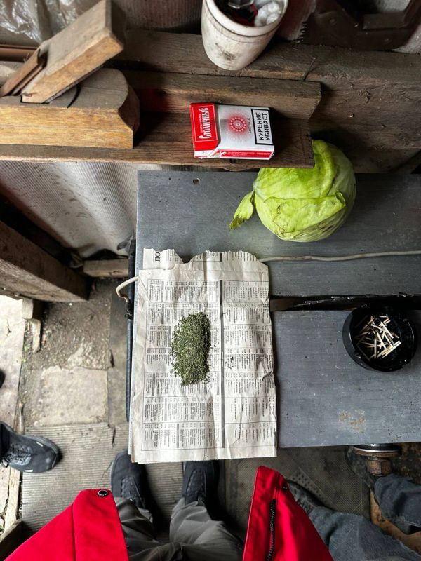 ������������������ ������ ����������� ������� ������� ������� ����������� �������