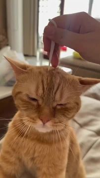 Вот и закончилась рабочая неделя