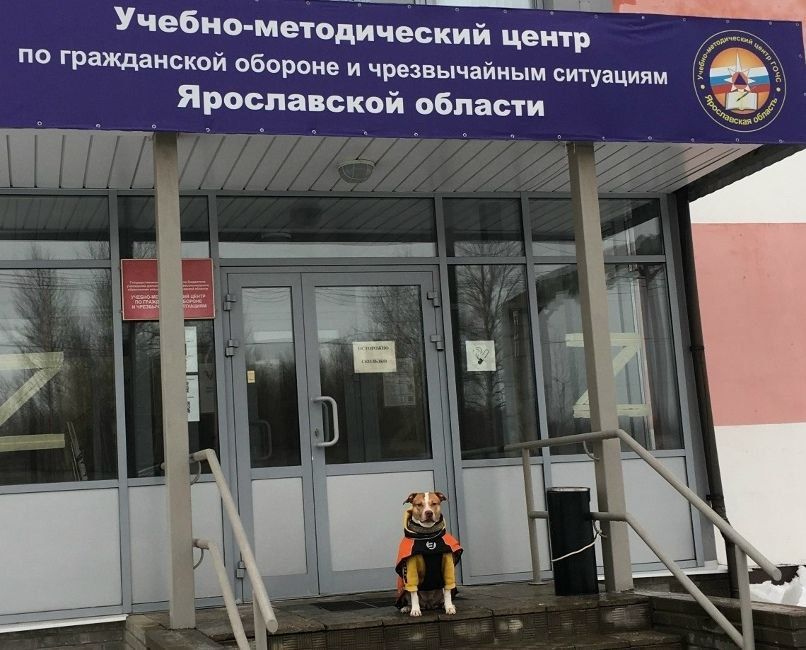 ������������ ����� �������� ����������� �������������� ������ ������ ��������� ������������ �� �������������� ���������������� ��������� "��������������� ��������� ����������"