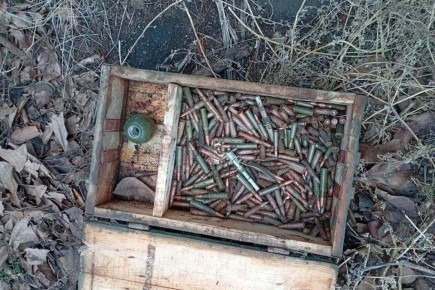 Три гранаты и 20 патронов прятал в запорожском лесу неизвестный