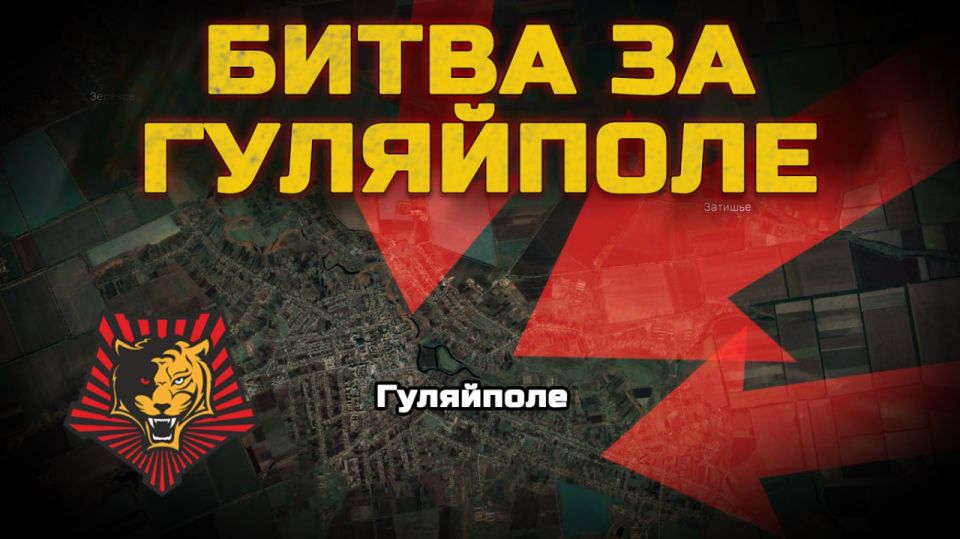 БИТВА ЗА ГУЛЯЙПОЛЕ. В зоне ответственности 5 армии