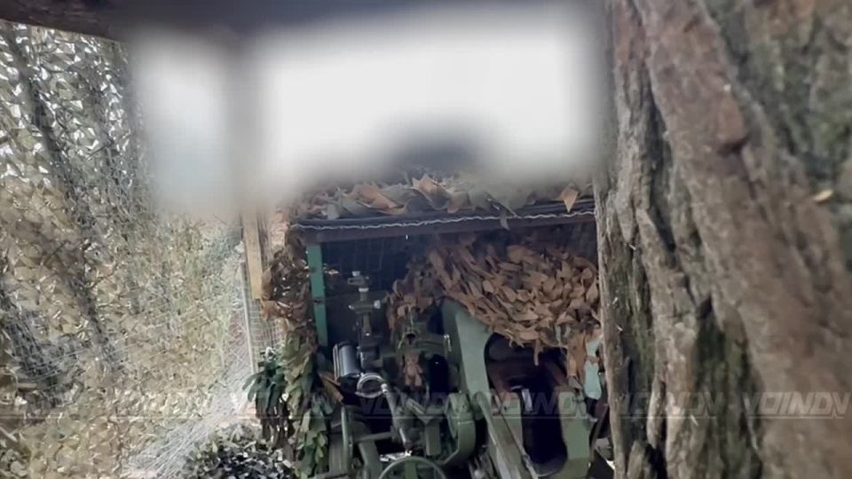 Артиллеристы 38 гвардейской мотострелковой бригады 35 армии группировки войск "Восток" продолжают чередовать огневое воздействие на противника с психологическим