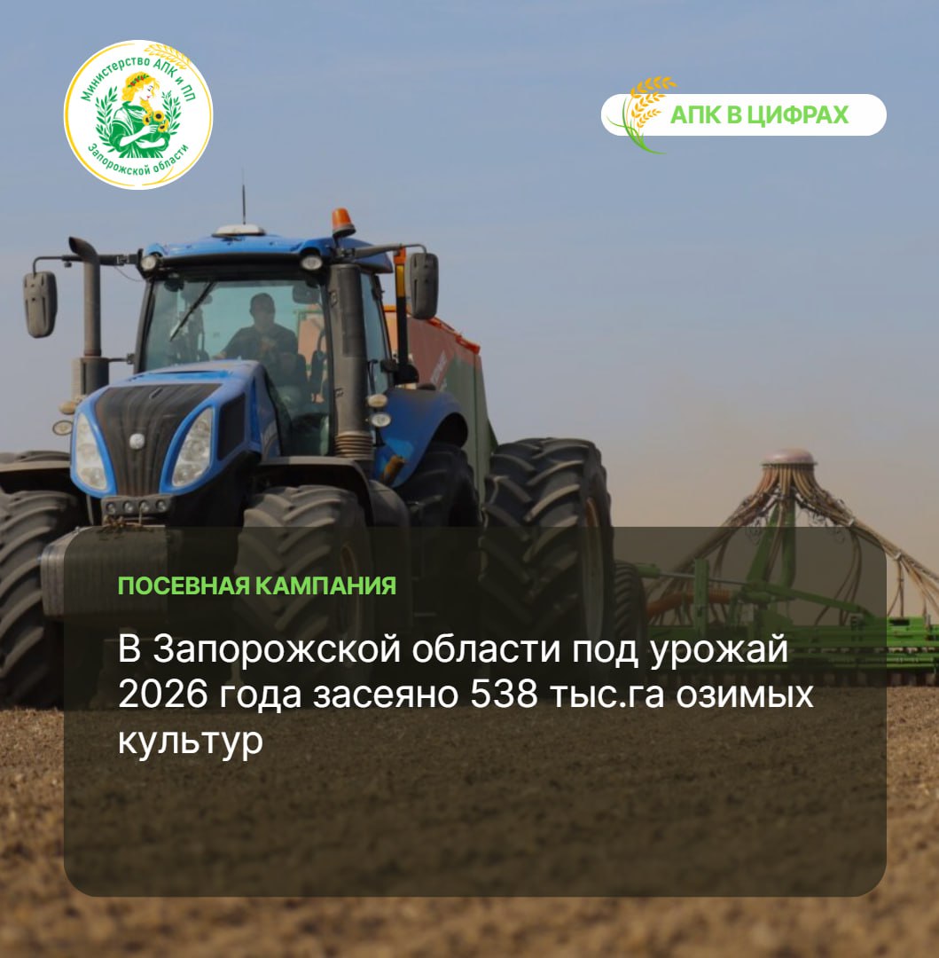 В Запорожской области завершаются осенние работы по севу озимых культур