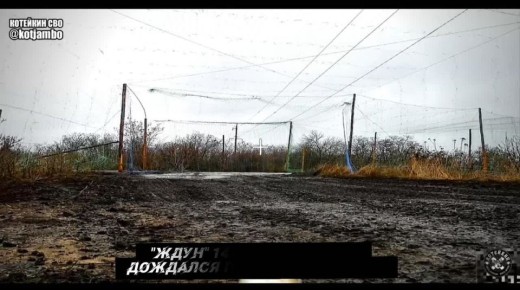 от Енота Херсона за прошедшие сутки с разных направлений зоны проведения специальной военной операции