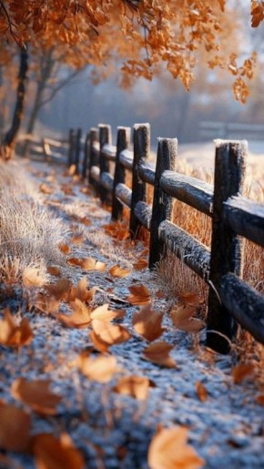 Доброе субботнее!