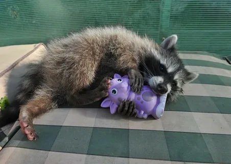 Доброй ночи, дорогие подписчики! Доброй ночи, Запорожье!