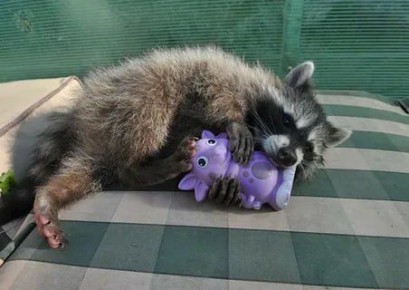 Доброй ночи, дорогие подписчики! Доброй ночи, Запорожье!