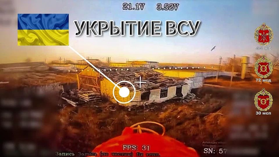 ������ ���� 30 ��� 44 ���������� ������� ������� ������� ������� ���