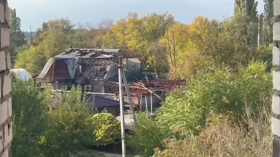 Никванта — Запорожский блогер, который получил уголовку за госизмену Украине в 14 лет