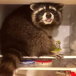 ������ ����, ������! �������� ��� ��� � ��������� ����������!