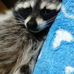 Доброй ночи, дорогие подписчики! Доброй ночи, Запорожье!