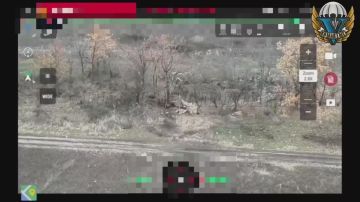 Кадры работы одного из расчетов ФПВ по украинским позициям в Запорожской области