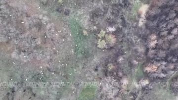 Гвардейцы-артиллеристы 305 бригады провели массирование залистование позиций противника в районе Гуляйполя посредством агитационных реактивных снарядов