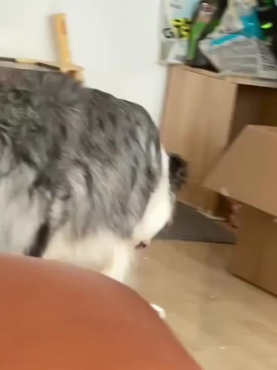 Вот и второй выходной. Помни, если тебе кажется что за тобой следят, это не означает что за тобой не следят