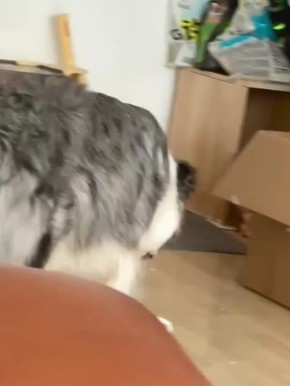 Вот и второй выходной. Помни, если тебе кажется что за тобой следят, это не означает что за тобой не следят