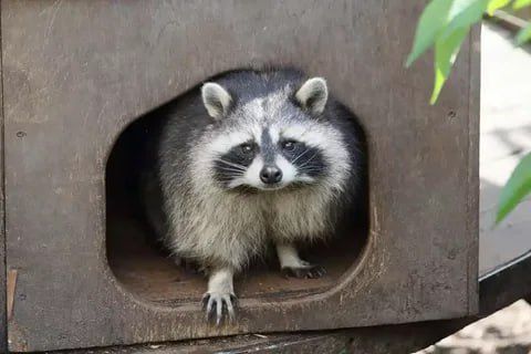 Доброе утро, друзья! Хорошего вам дня и отличного настроения!