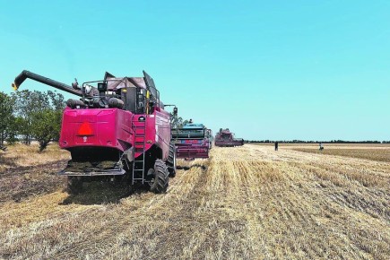 Осенние посевные работы в Запорожской области завершены полностью и в срок