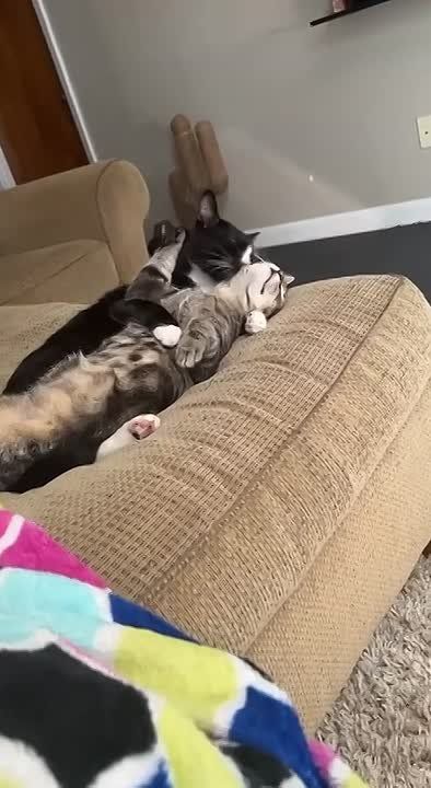 Вот и пролетели выходные. Отдыхаем и нежимся перед новой рабочей неделей