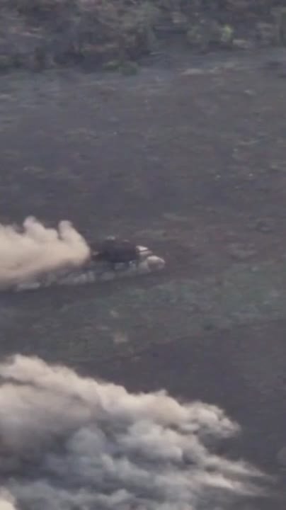 Что за тигр этот лев!!!. Наш танк прокладывал путь пехоте, проходя через минное поле на Запорожском направлении