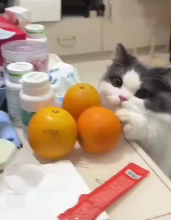 Неужели вечер?. Ужинаем и идем отдыхать