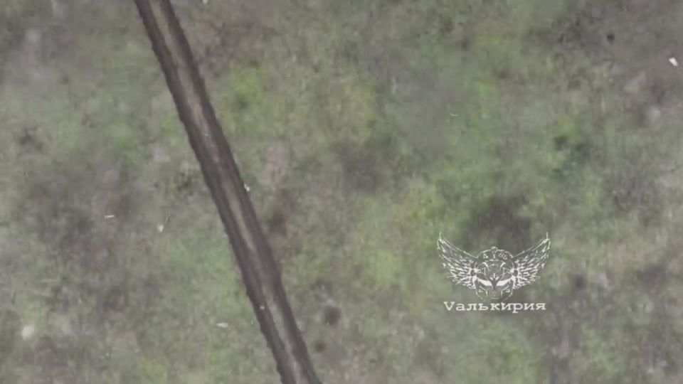 Операторы дронов-перехватчиков подразделения "Валькирия" 74 мотострелкового полка не дают противнику эффективно вести разведку участка фронта в районе города Орехов, сбивая квадрокоптеры ВСУ, а после уничтожая и сами их...