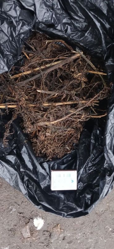 � ������ ��������������� ������ ����������� ������ ������������� ��������