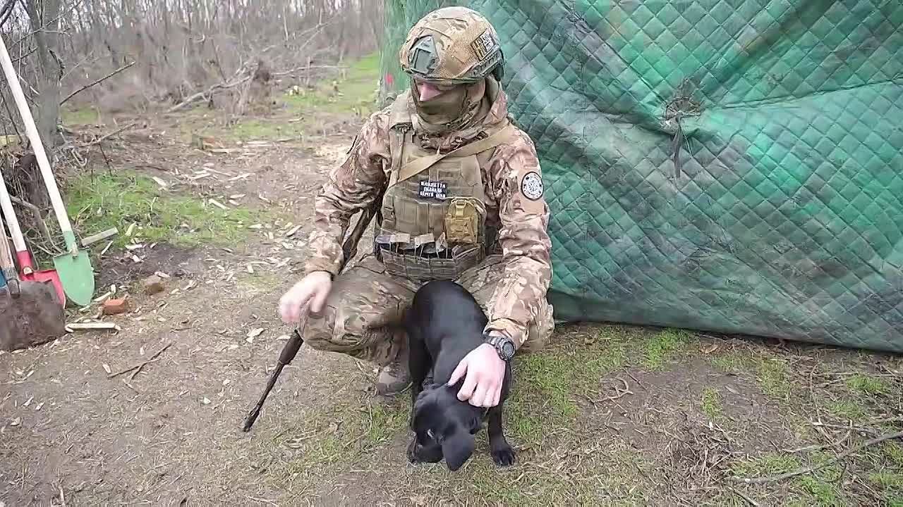 Четвероногий помощник радиоразведчиков