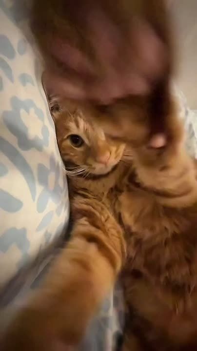 Новая неделя началась. Нежимся в кроватке, но не забываем что нужно на работу