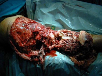 Еженедельная авторская колонка;