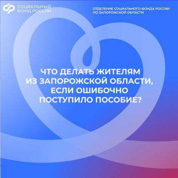 Если вам зачислили пособие по ошибке: что делать жителям Запорожской области