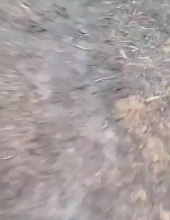 Евгений Поддубный: Ни спецназ Буданова, ни иностранные наёмники не смогли улучшить положение остатков украинской группировки в запорожском Степногорске