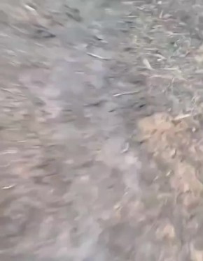 Евгений Поддубный: Ни спецназ Буданова, ни иностранные наёмники не смогли улучшить положение остатков украинской группировки в запорожском Степногорске