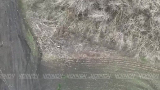 Гвардейцы специального назначения 14 отдельной бригады спецназа очищают небо Гуляйпольского района от вражеских дронов, облегчая тяжёлый ратный труд штурмовых групп на земле