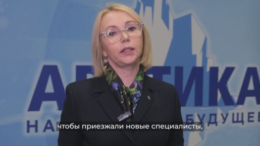 Ирина Гехт: Арктика – это логистика. Арктика – это энергия