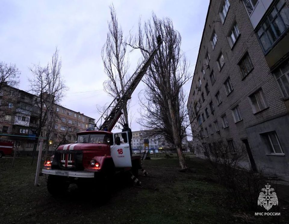 � ������� ������ ���������� ��� ������ ���� ������� ��������� ��������-������������ ������