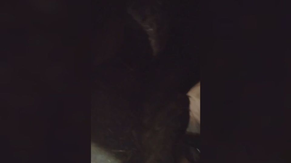 Сергей Зенин: Военнослужащие группировки войск «Восток» рассказали подробности освобождения населённого пункта Зелёный Гай в Запорожской области