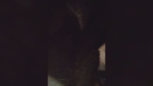 Сергей Зенин: Военнослужащие группировки войск «Восток» рассказали подробности освобождения населённого пункта Зелёный Гай в Запорожской области