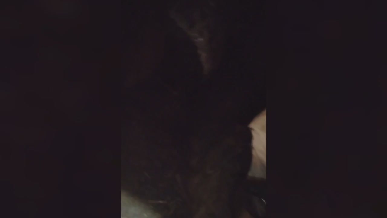 Сергей Зенин: Военнослужащие группировки войск «Восток» рассказали подробности освобождения населённого пункта Зелёный Гай в Запорожской области