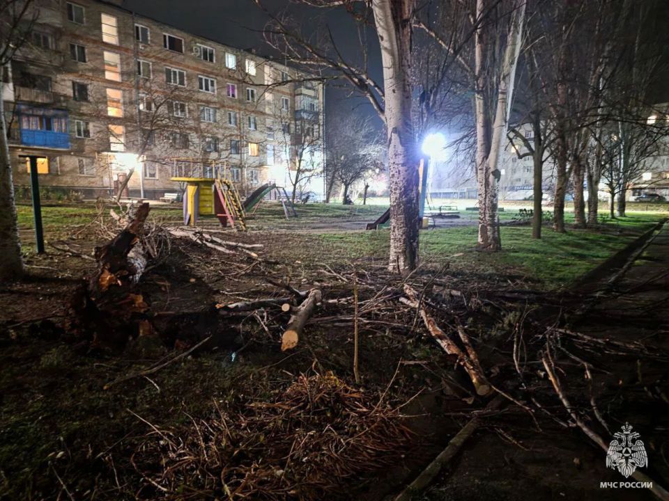 � ������� ������ ���������� ��� ������ ���� ������� ��������� ��������-������������ ������