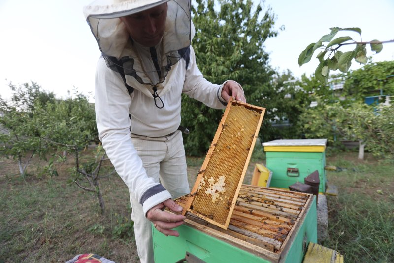 9 декабря мы чествуем Героев Советского союза и Российской Федерации, кавалеров орденов Святого Георгия и Славы, всех, кто участвовал в вооруженных конфликтах, отстаивал интересы нашей страны