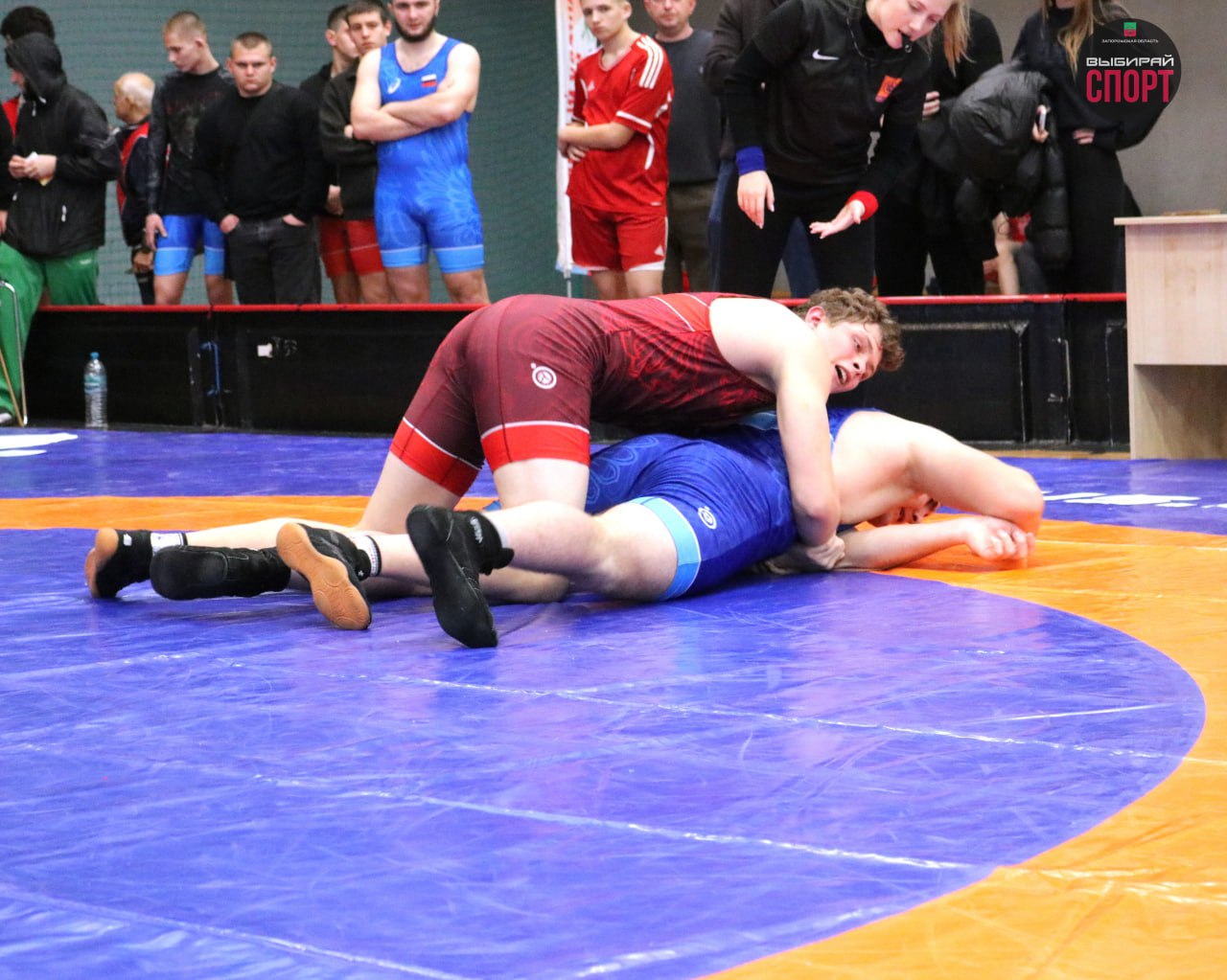 Запорожская область: турнир по единоборствам «Герои Отечества»! Запорожская область: турнир по единоборствам «Герои Отечества»!