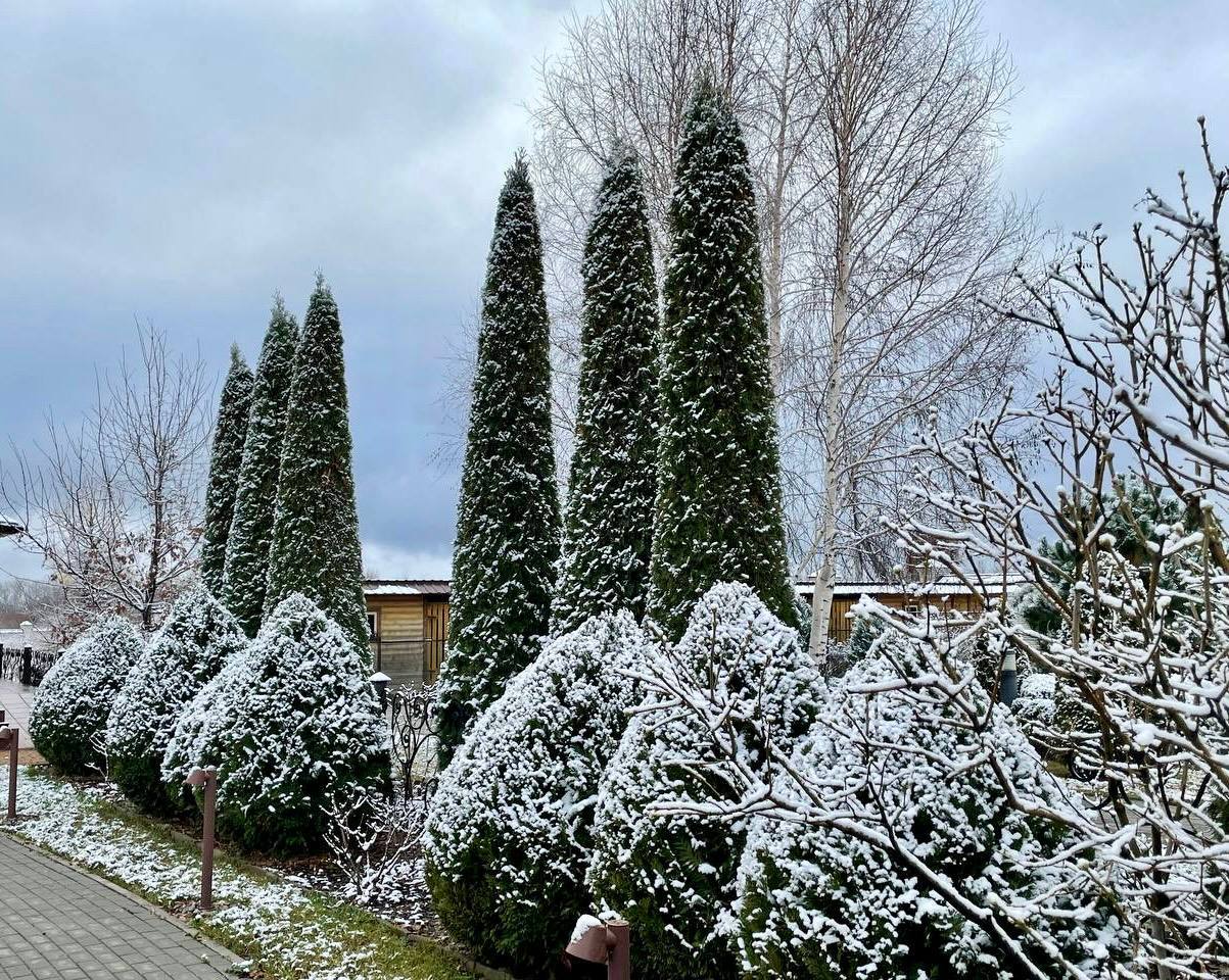 С первым снегом, Терпенье