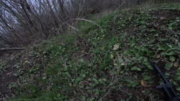 Видео от наших бойцов. На Запорожском направлении очередная группа противника решила, что статус «пленный» всё-таки безопаснее, чем их предыдущая должность «расходный материал»