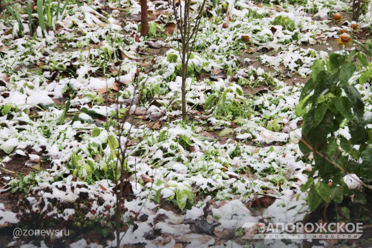В Энергодаре выпал первый снег В Энергодаре выпал первый снег