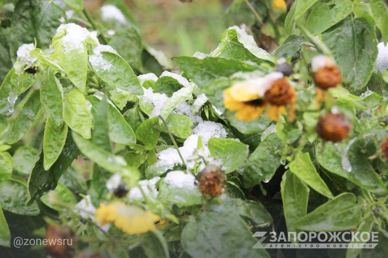 В Энергодаре выпал первый снег В Энергодаре выпал первый снег